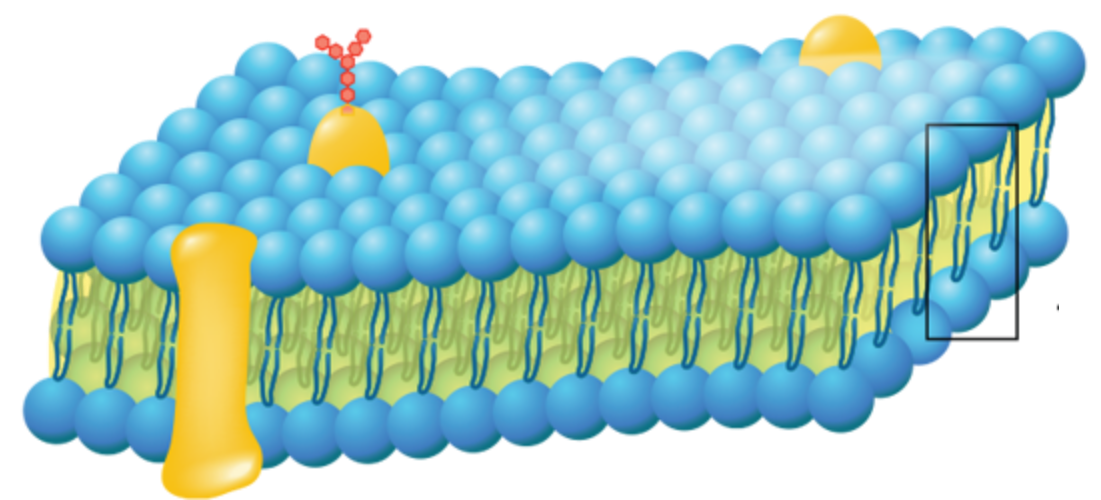img2 img2