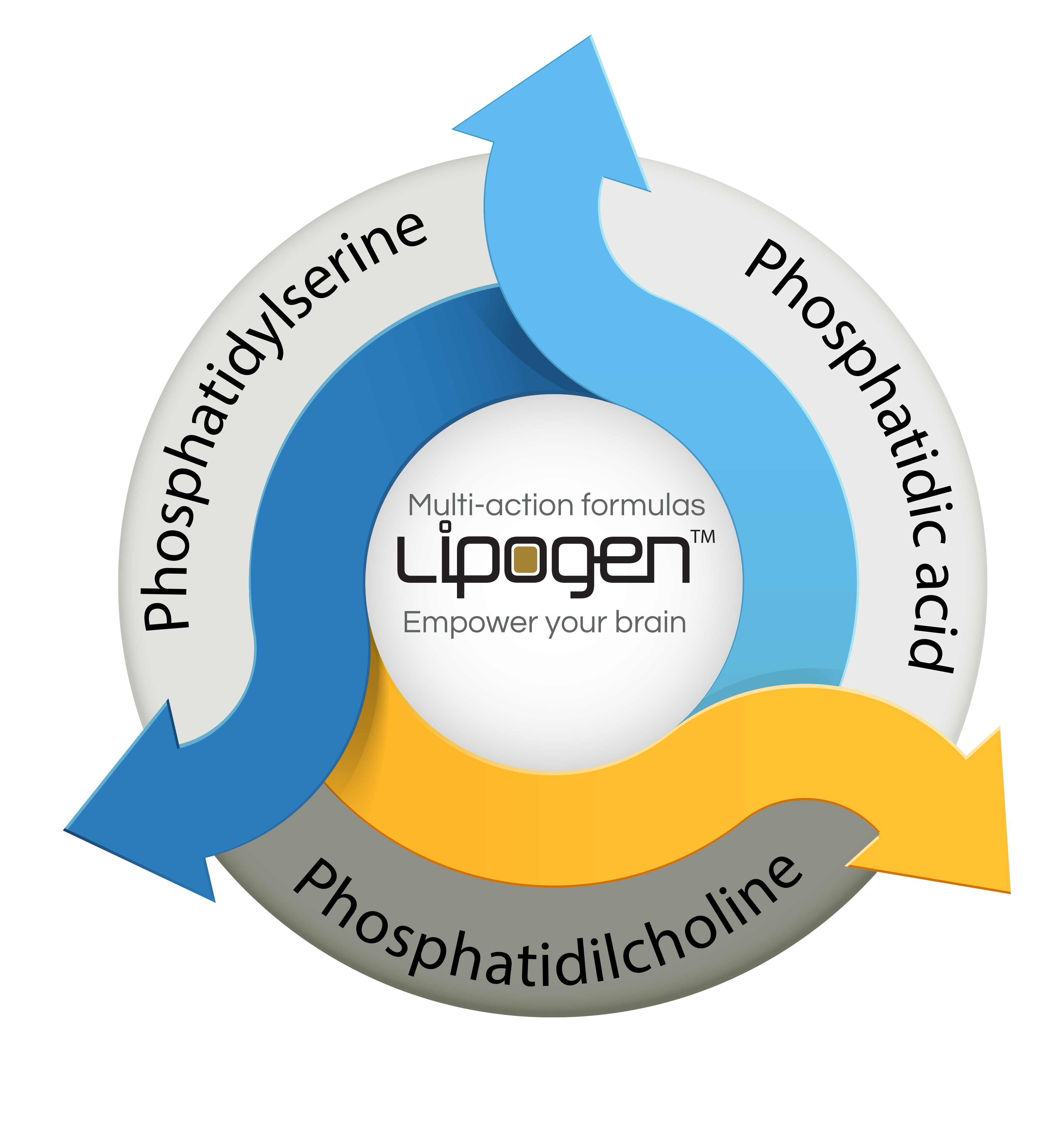 lipogen_image1 lipogen_image1